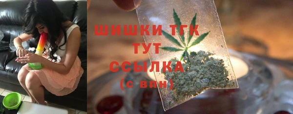 хмурый Абаза