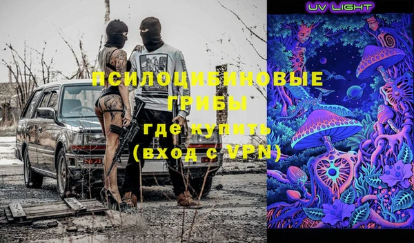 шишки Абинск