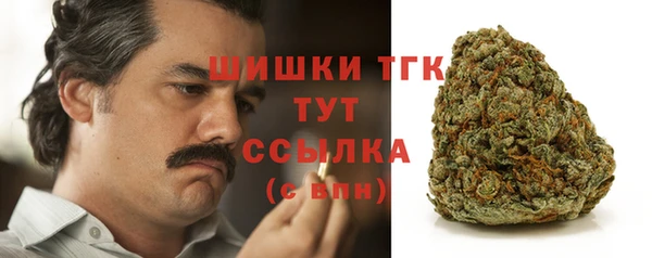 хмурый Абаза