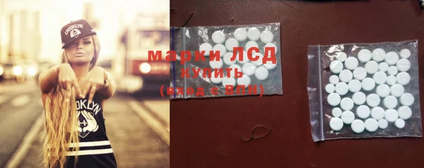 хмурый Абаза