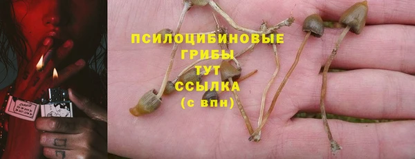 шишки Абинск