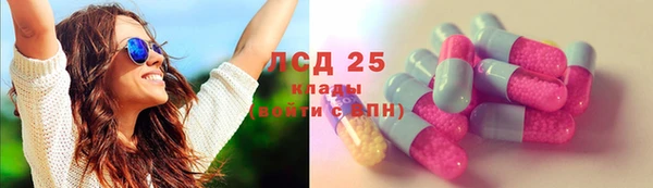 хмурый Абаза
