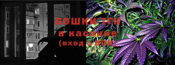 бошки Новодвинск