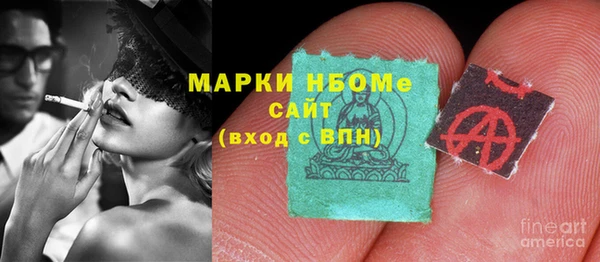 хмурый Абаза