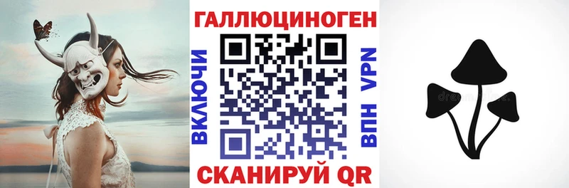 купить наркотик  Урень  Галлюциногенные грибы Psilocybine cubensis 